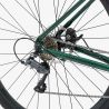 VÉLO GRAVEL WELT G80 UNISEXE VERT FONCÉ